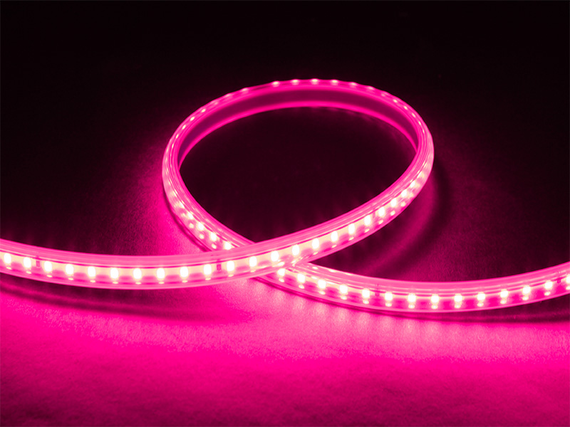 FITA LED TECHCORD 5W 60 LEDS/M 10M 220V IP65 ROSA