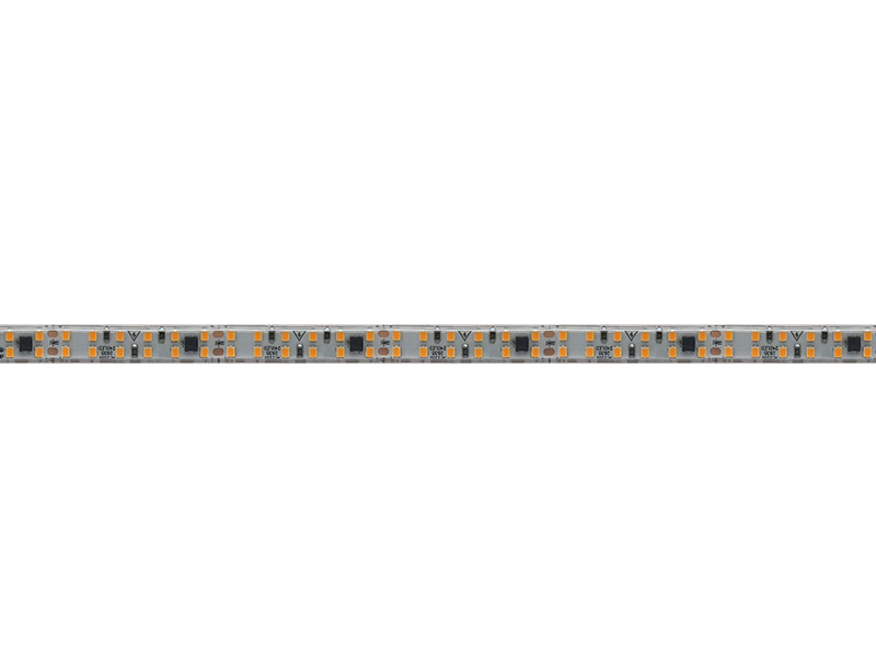 FITA LED TECHFREE  20W 240LEDS/M 50M 127V IP65 6500K