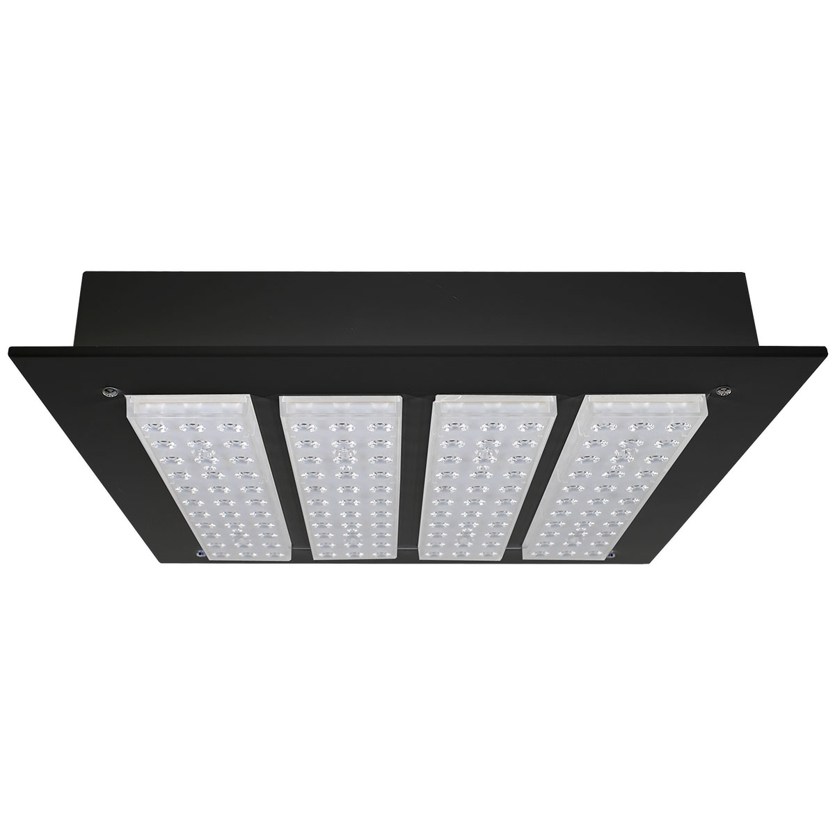 LM LED EAGLE QUAD 40X40 SOB/EMB LENTE 90° 5000K PRETA