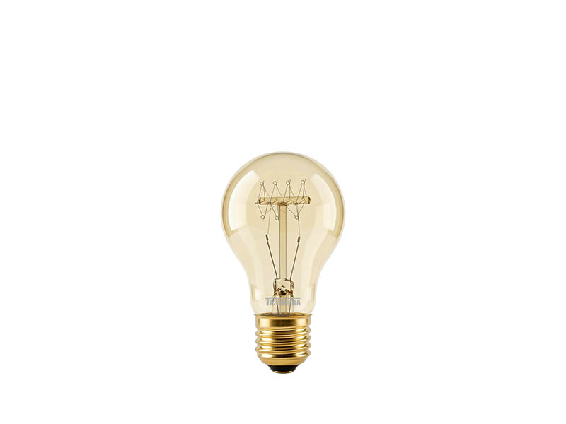 LÂMPADA FILAMENTO DE CARBONO TASCHIBRA A19 40W 127V