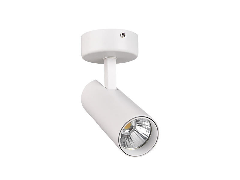 Imagem do produto SPOT LED EVIDENCE PRO SOBREPOR/PERFILADO 36° 20W 6500K BR na categoria SPOT SOBREPOR LED